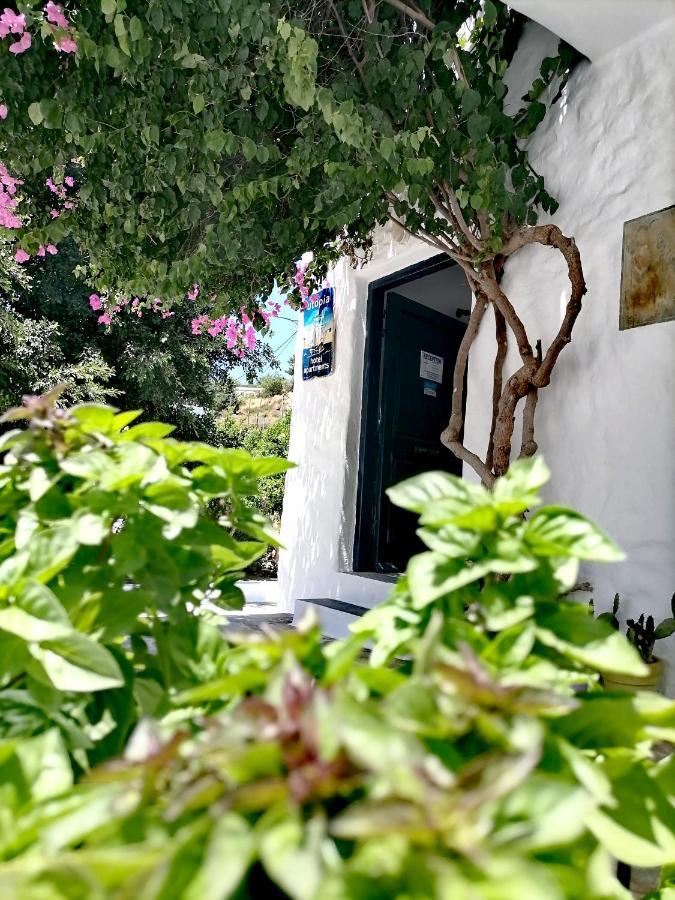 Utopia Hotel Apartments Agia Marina  Dış mekan fotoğraf