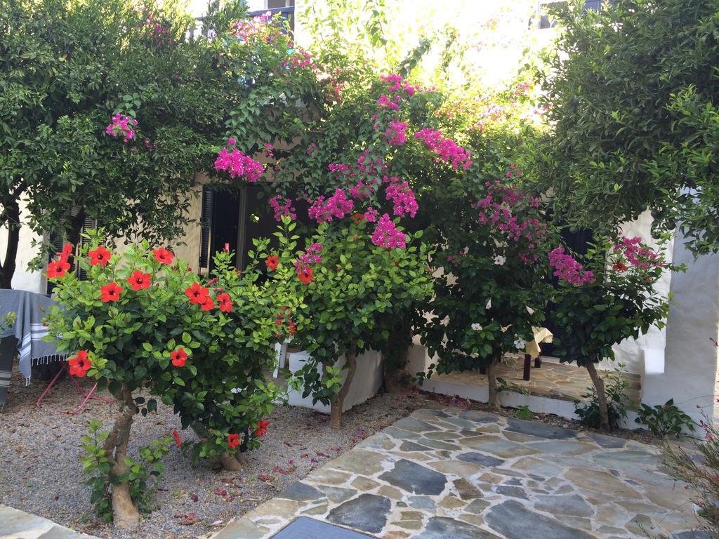 Utopia Hotel Apartments Agia Marina  Dış mekan fotoğraf