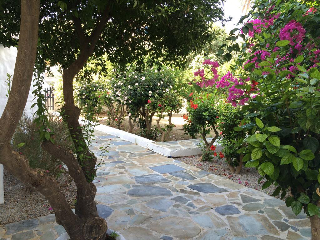 Utopia Hotel Apartments Agia Marina  Dış mekan fotoğraf