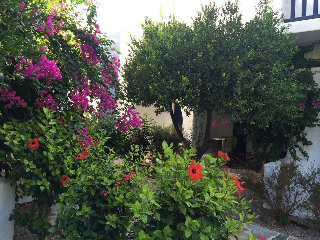 Utopia Hotel Apartments Agia Marina  Dış mekan fotoğraf