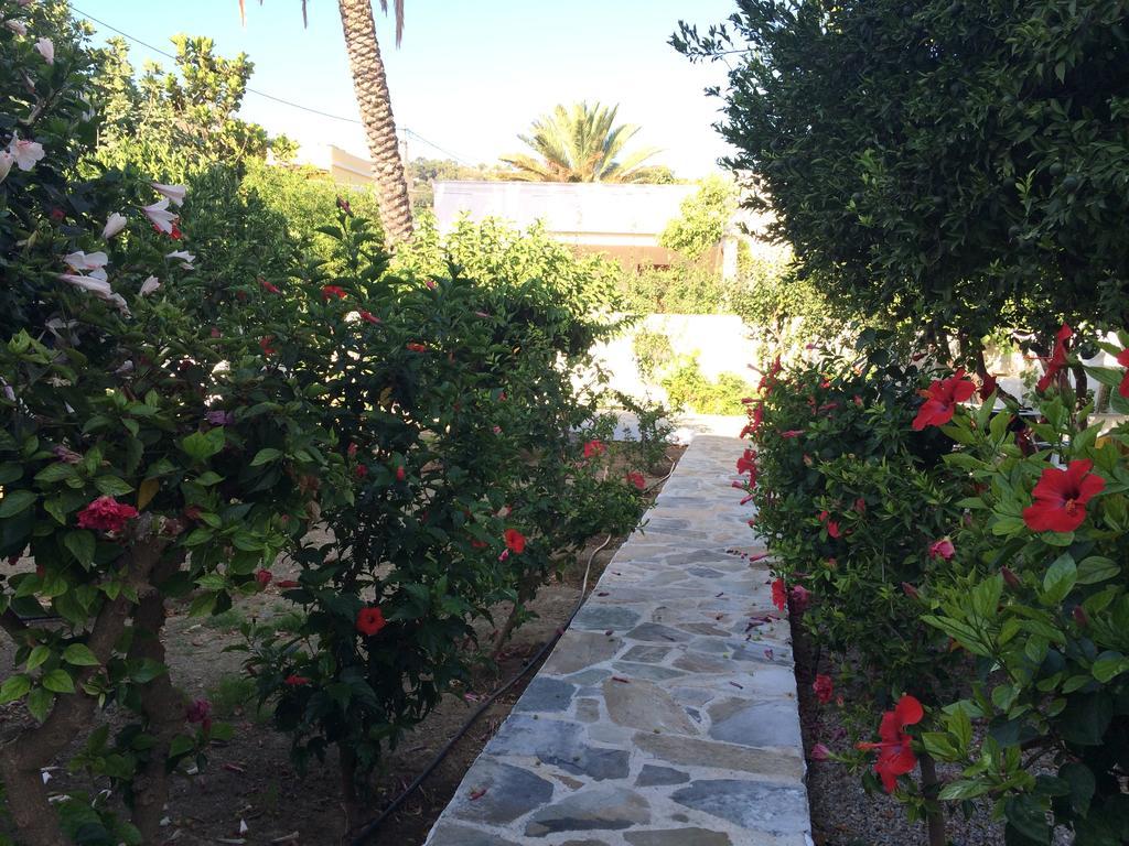 Utopia Hotel Apartments Agia Marina  Dış mekan fotoğraf