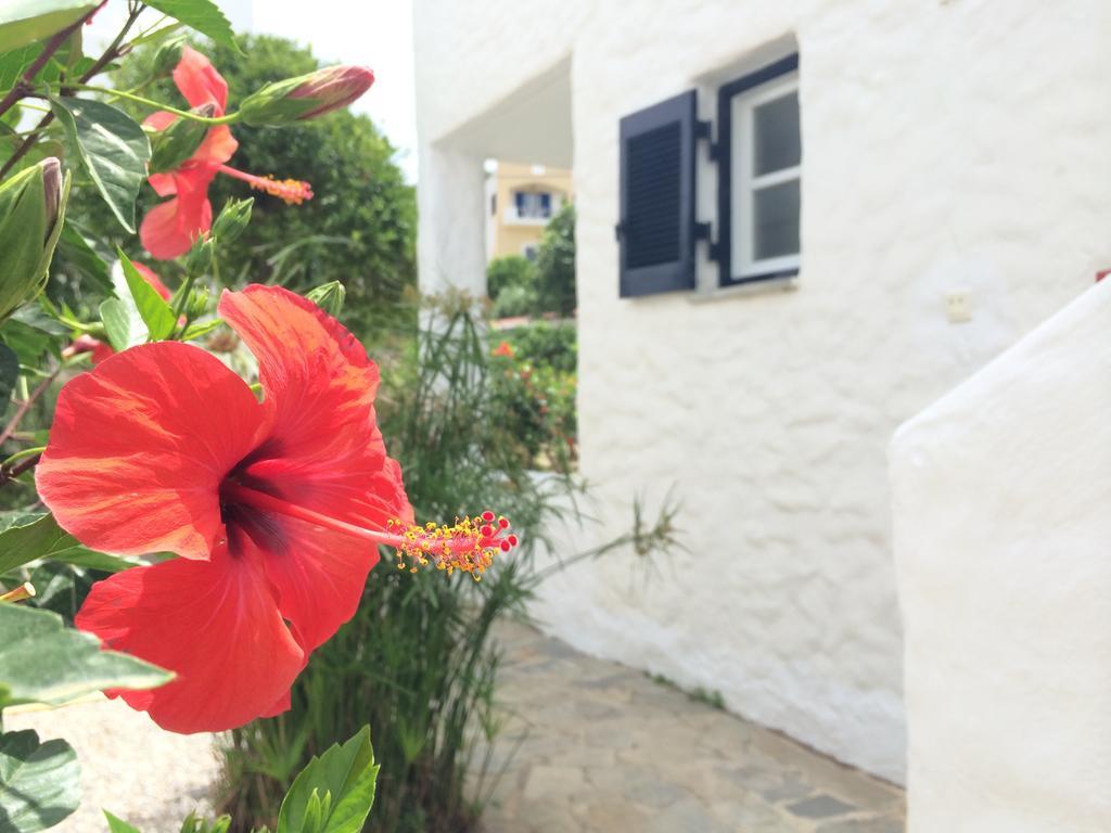 Utopia Hotel Apartments Agia Marina  Dış mekan fotoğraf